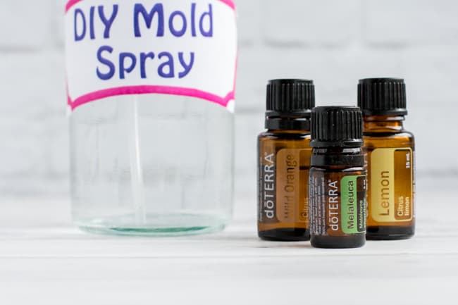DIY Mold Spray with Essential Oils - Easy and Non-Toxic