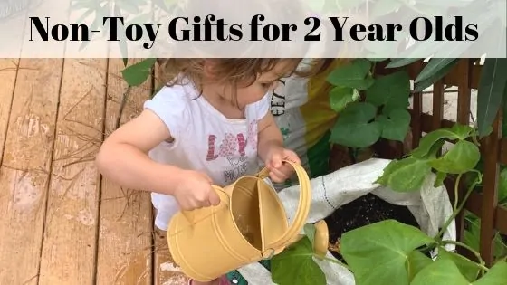 non-toy gift ideas for two year olds