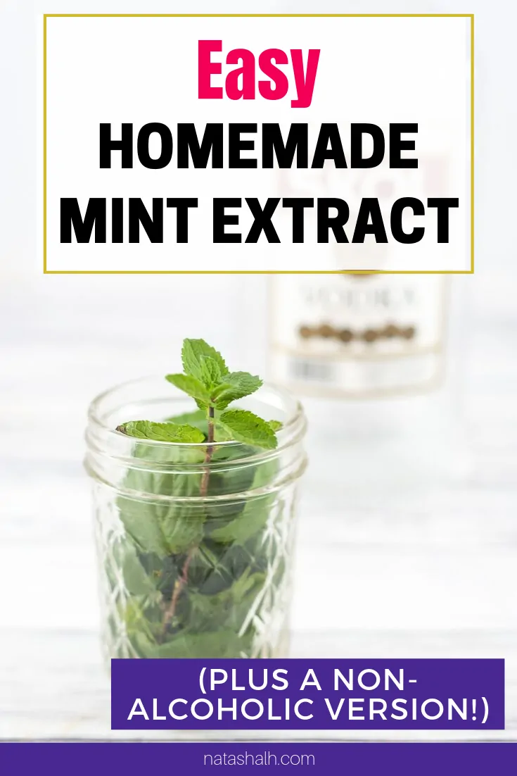 easy homemade mint extract