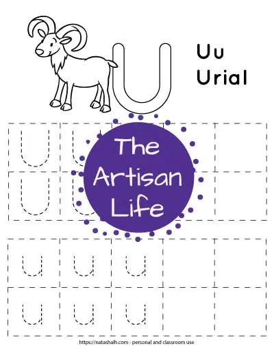 Letter tracing worksheet with dotted letter u's in boxes to trace. There are two rows of uppercase u and two rows of lowercase u. At the top of the page is a urial with a large bubble letter U to color and the text "Uu Urial"