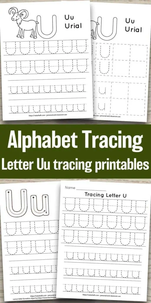 four free letter u tracing printables on a wood background. Each features uppercase and lowercase letter u's to trace in a dotted font. One has correct letter formation graphics and two have a urial goat to color and the text "Uu Ural". In the center of the image is the text "Alphabet tracing - letter Uu tracing printables"