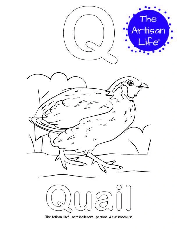 Coloring page with Q and Quail in bubble letters and a picture of a quail to color