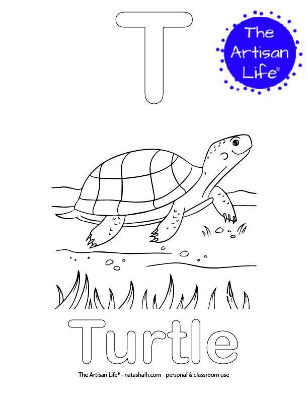 Coloring page with T and Turtle in bubble letters and a picture of a turtle to color