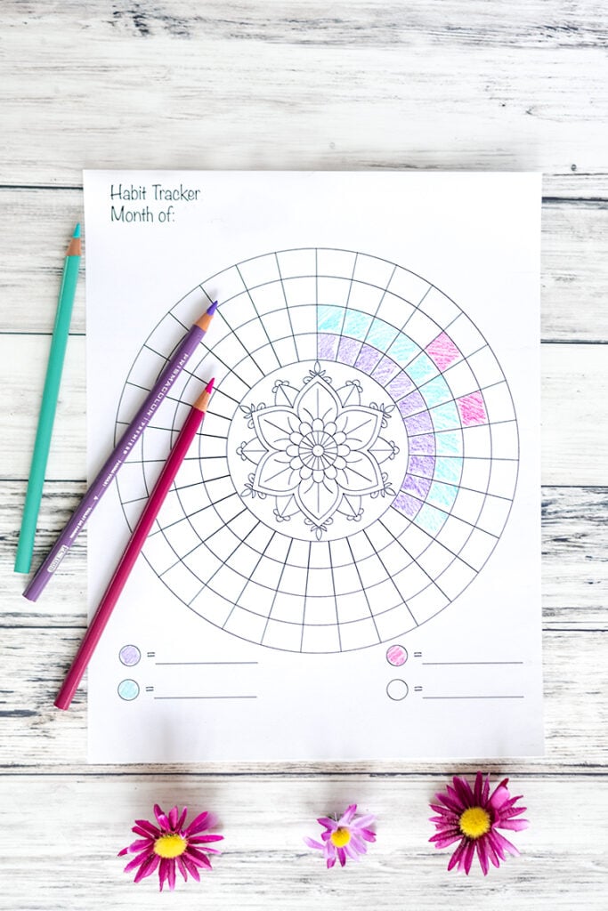 A printed circular habit tracker on a white wood background