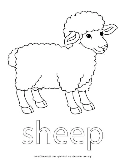 A child's coloring page with an image of a sheep and the word "sheep" in bubble letters to color