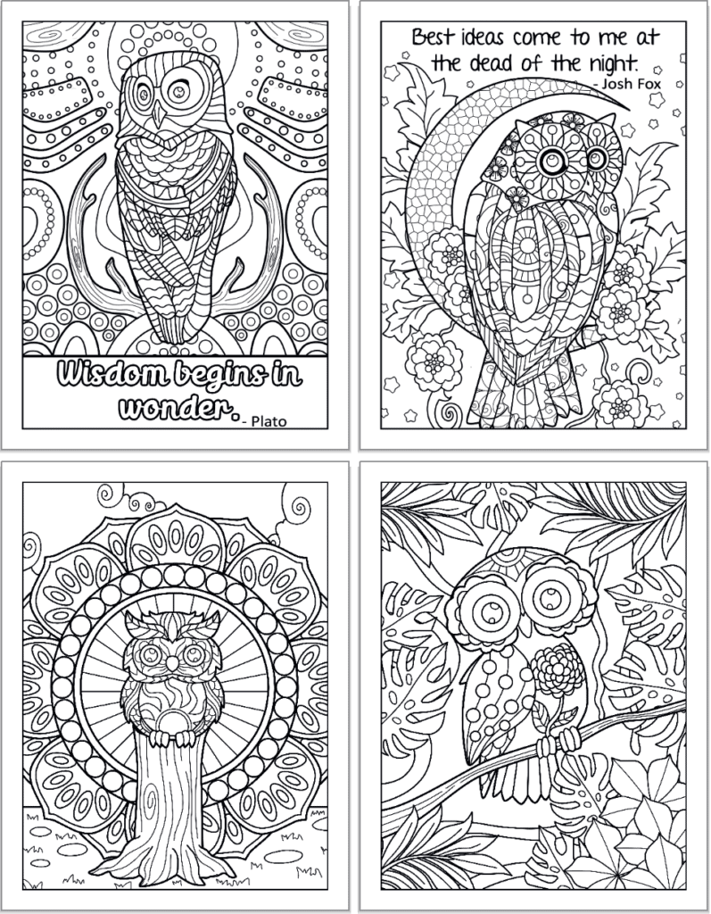 A 2x2 grid preview of owl coloring pages. The top two pages have quotations" Wisdom begins in wonder - Plato" and "Best ideas come tome at the dead of the nigh - Josh Fox." The bottom two pages feature an owl on a stump and an owl on a branch with tropical foliage.