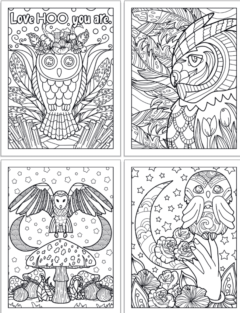 A preview of four printable owl coloring pages. The pages show: An owl with a flower crown and words "Love Hoo you are" in bubble letters to color, a close up side profile of an owl with feathers in the background, an owl with wings spread above a mushroom and two crescent moons, an owl perfected in a hand with a moon and flowers in the background. 