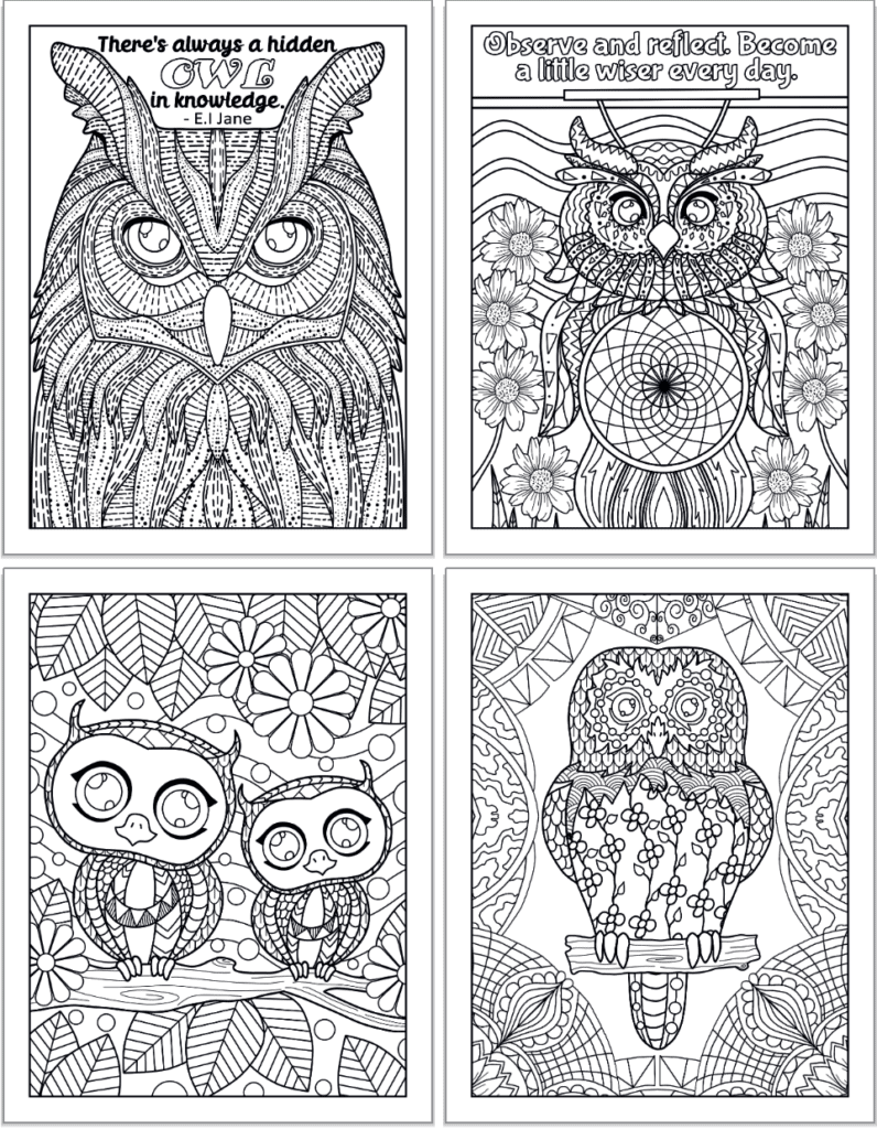 Four adult owl coloring pages in a 2x2 grid. The top two pages have quotes and the bottom two have owls sitting on branches.