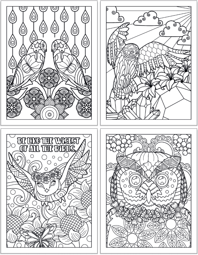 A 2x2 grid of printable own coloring pages for adults. The pages feature: Two owls looking at each other, an owl in flight with flowers, crystals, and a mountain in the background, an owl with a flower crown flying with the quotation "Be like the wisest and purest of all birds" and a close up of an owl's face with berries and flowers. 