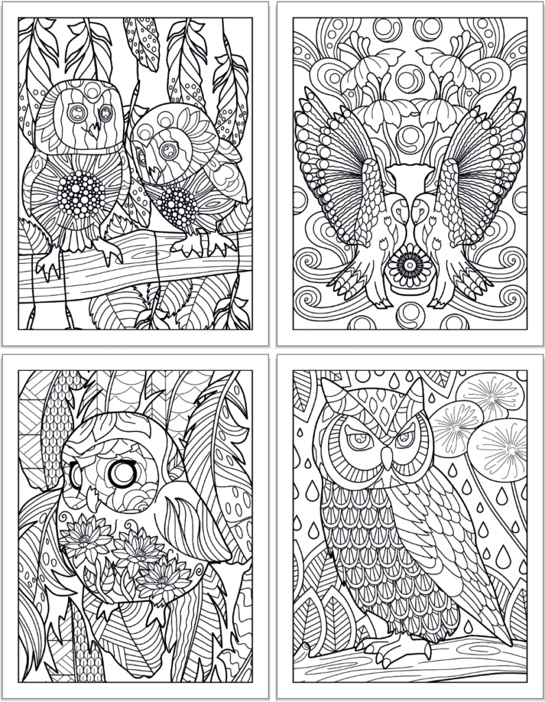 A 2x2 grid preview of printable own coloring pages. The pages show: Two small owls on a branch; two owls face each other with wings raised, a sloe up of a small, cute owl with a round body, and a larger owl on a branch with raindrops and flowers in the background. 