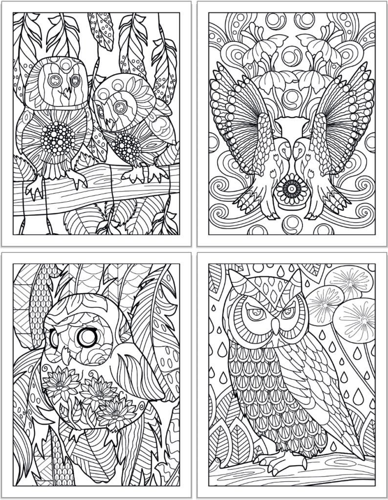 free printable adult coloring pages owl