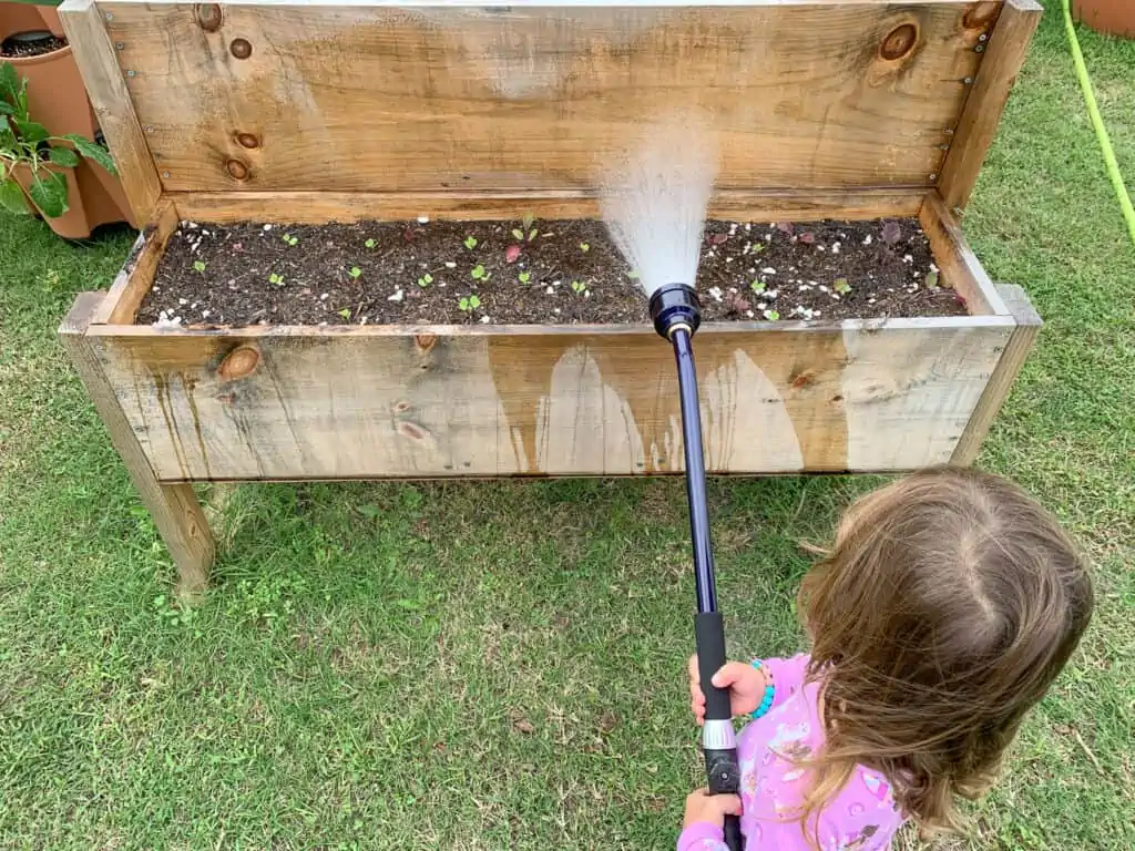 A young child in pink pajamas using a watering wand to water radish seedlings. 