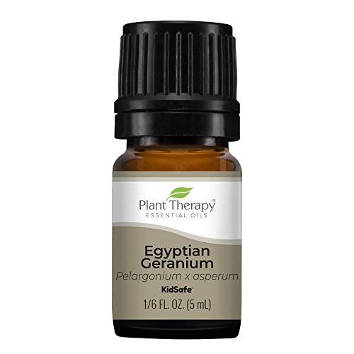 Plant Therapy Egyptian Geranium Essential Oil 100% Pure, Undiluted, Natural...
