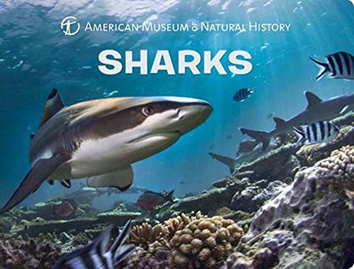 Sharks (Science for Toddlers)