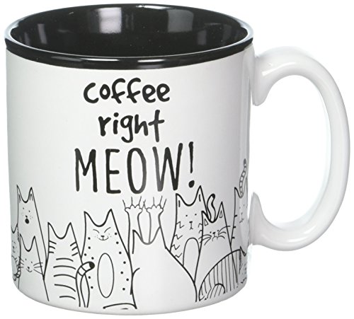 BnB Cat Lovers Mug Coffee Right Meow Funny Message Novelty Ceramic Cup for...
