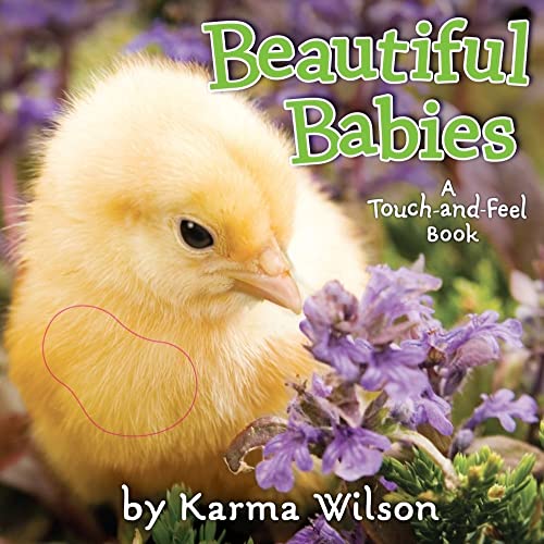 Beautiful Babies: A Touch-and-Feel Book
