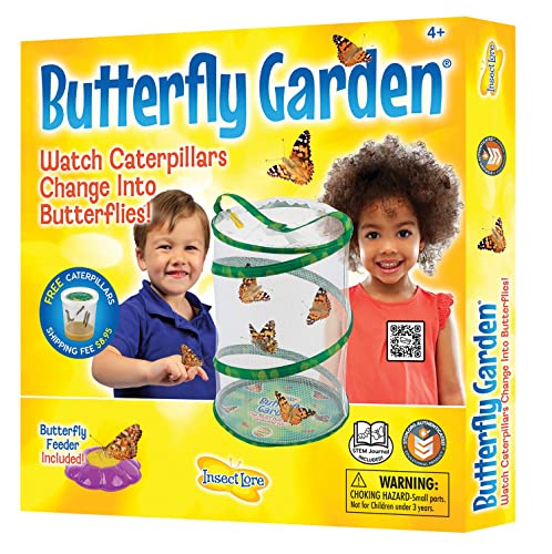 Insect Lore - Butterfly Growing Kit - Butterfly Habitat Kit with Voucher to...