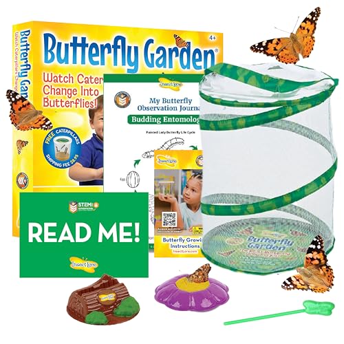 Insect Lore Butterfly Garden Kit, Painted Lady Butterfly Kit with Voucher...