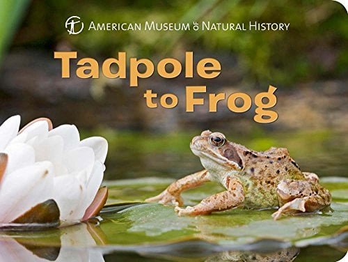Tadpole to Frog (Science for Toddlers)