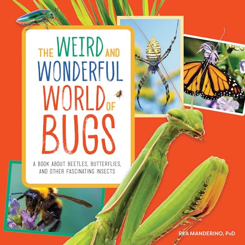 The Weird and Wonderful World of Bugs: A Book About Beetles, Butterflies,...