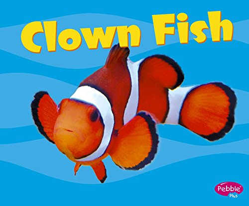 Clown Fish (Under the Sea)