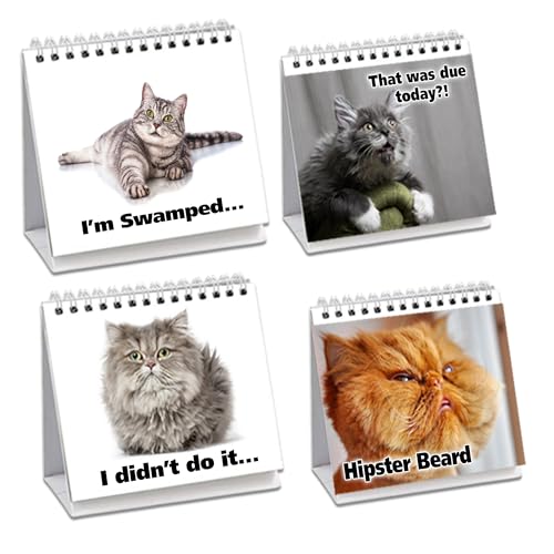 Cat Lover Gifts for Women - Funny Desk Signs & Office Decor | MoodyCards...