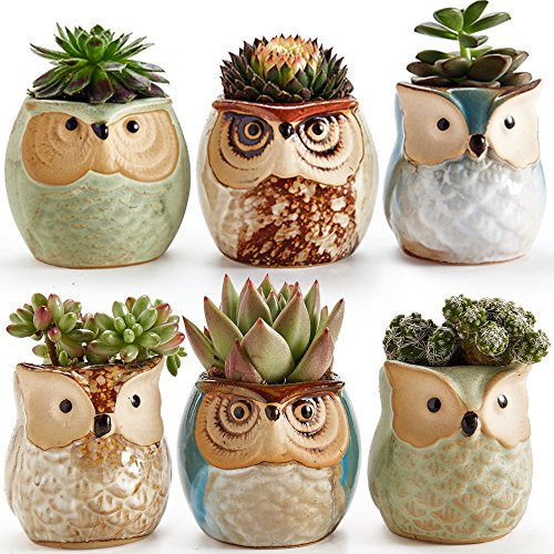 SUN-E SE Owl Pot Ceramic Flowing Glaze Base Serial Set Succulent Plant Pot...