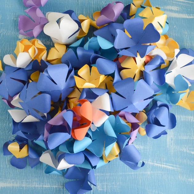 curled paper flowers