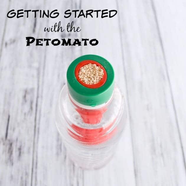 Getting started with the Petomato
