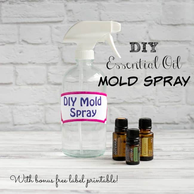 DIY Essential Oil Mold Spray (plus free printable)