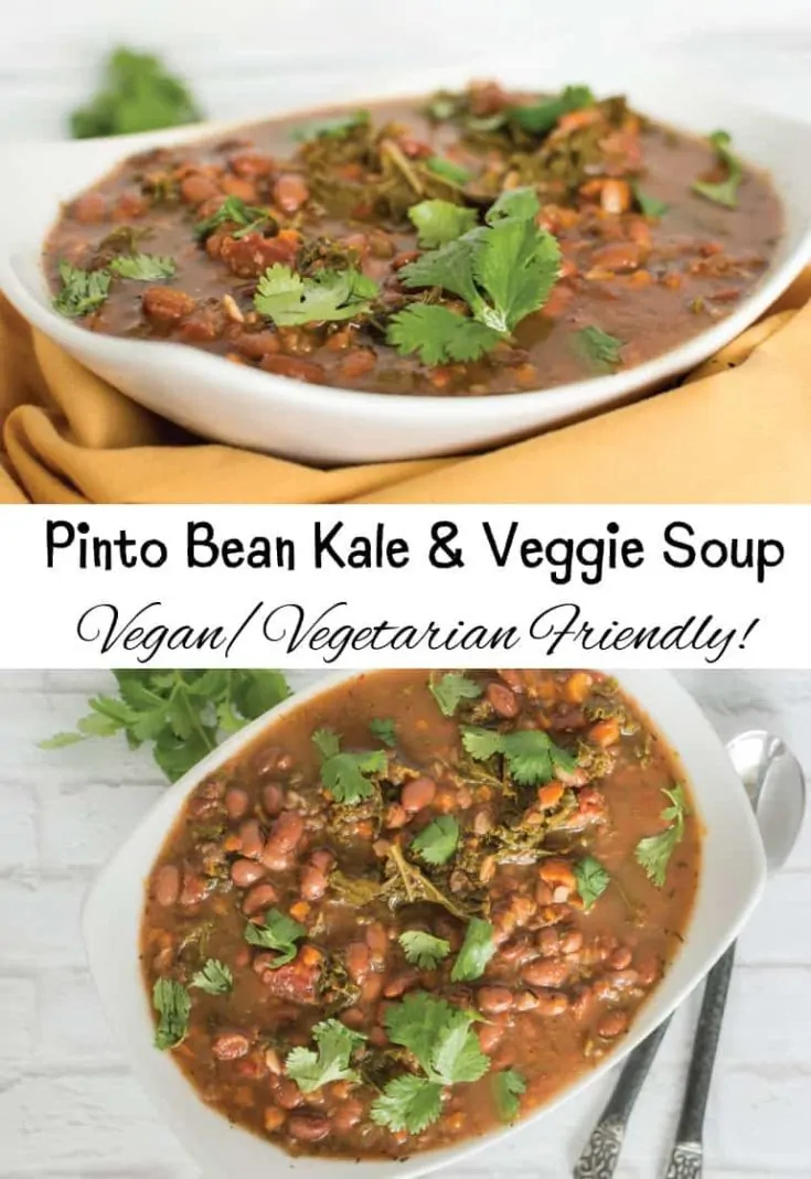 Pinto Bean Kale and Veggie Soup - Vegan/Vegetarian Friendly!