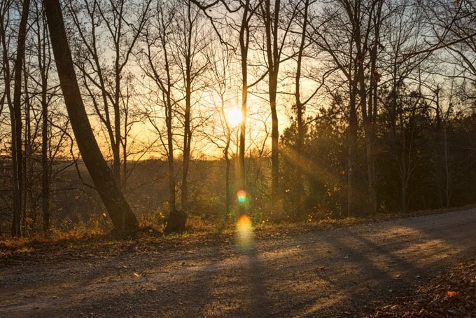 dirt road fall sunset