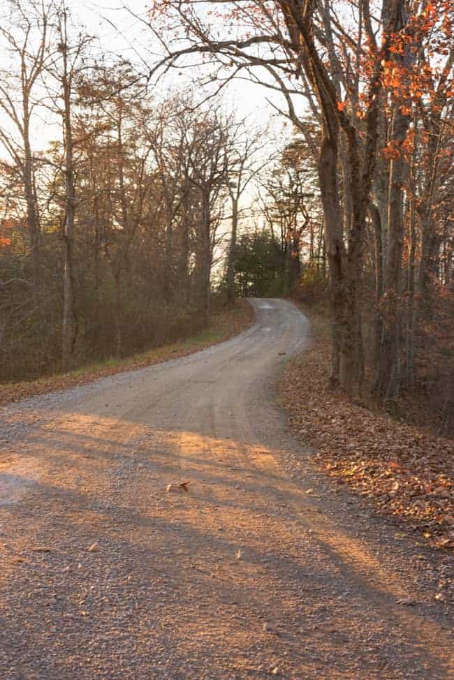 dirt road sunset