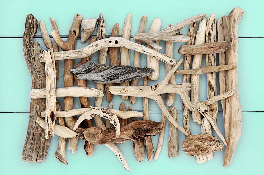 ready for driftwood crafts