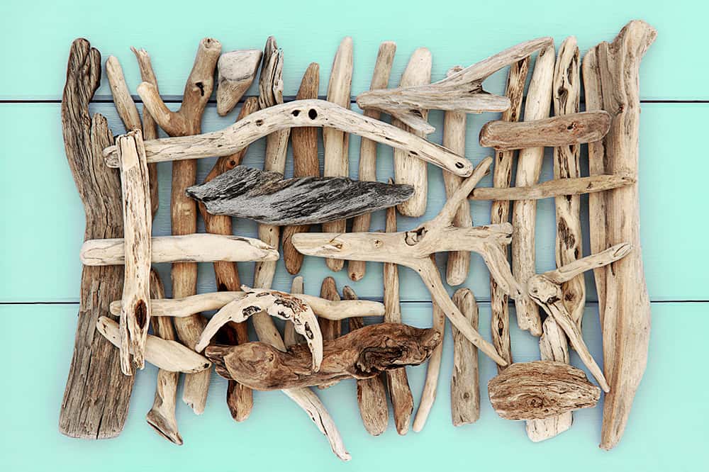 Driftwood 2024 for crafting