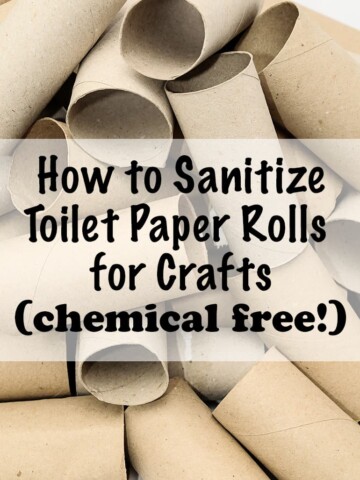 how to sanitize toilet paper rolls for crafts - chemical free!