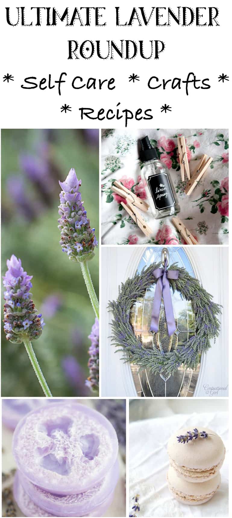 ultimate lavender roundup