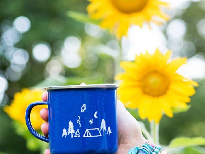 Asobu Happy Camper Mug: Blue