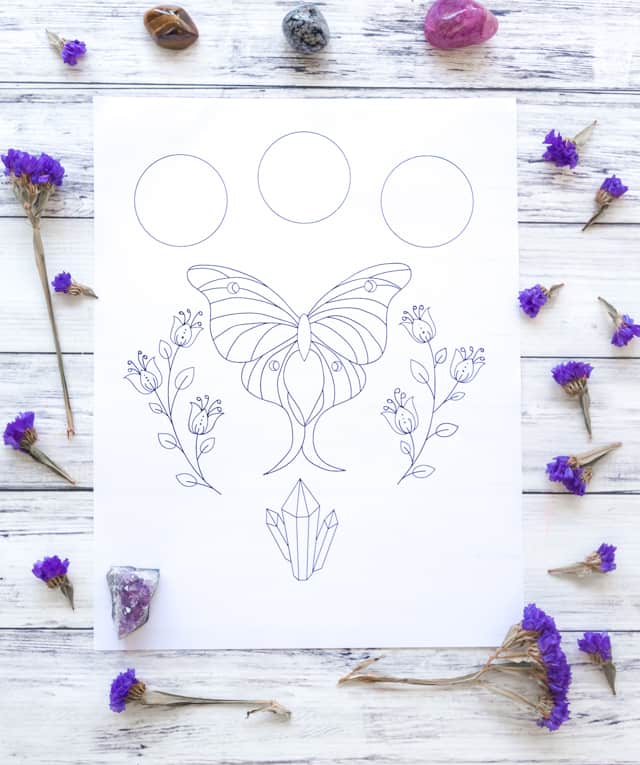 luna moth printable coloring page