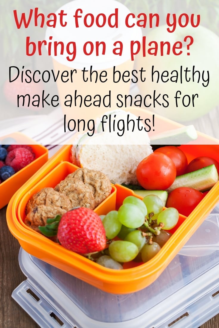 Two TSA-Approved Airport Travel Meals For Your Long Trip - Simply Taralynn