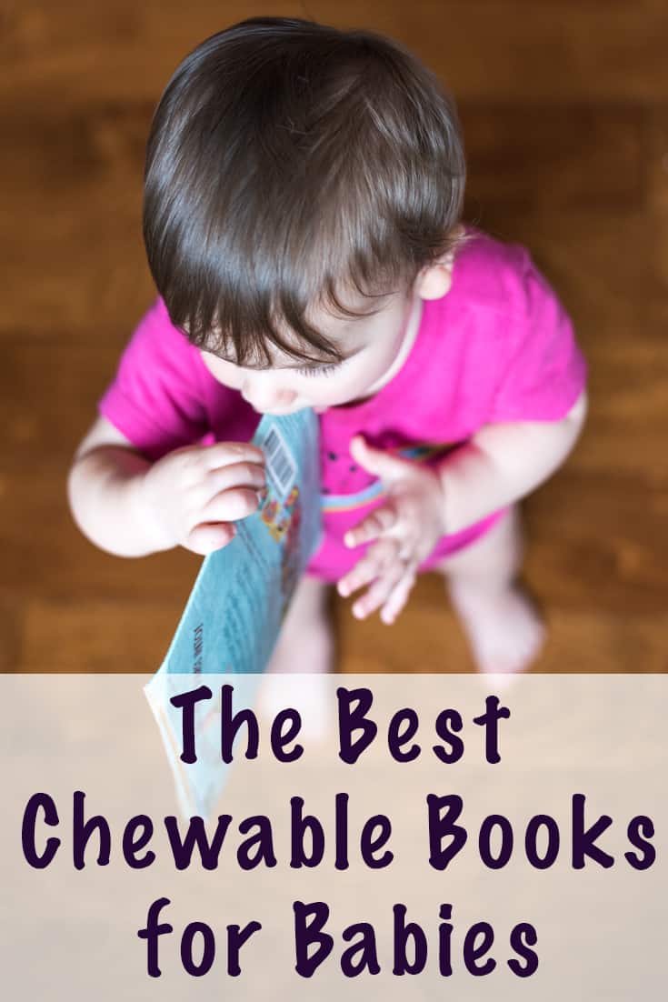 20 Best Board Books for Babies and Toddlers - Little Fish