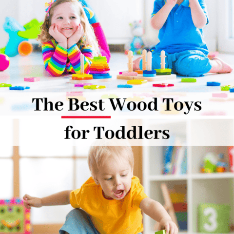 The Best Board Games for Two Year Olds - The Artisan Life