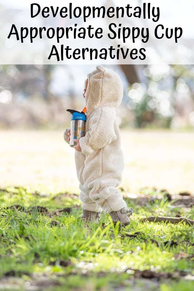 Are sippy cups safe? The best developmentally appropriate sippy cup alternatives.