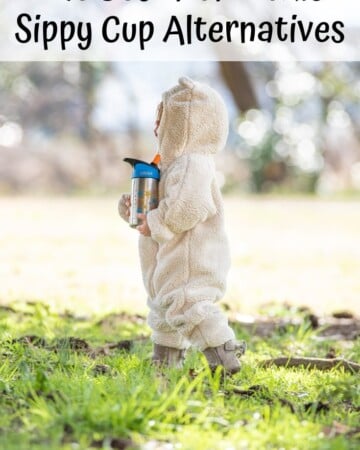 Are sippy cups safe? Discover the best non-toxic sippy cup alternatives for toddlers! Toddler cup reviews, stainless steel sippy cups on Amazon, and more!