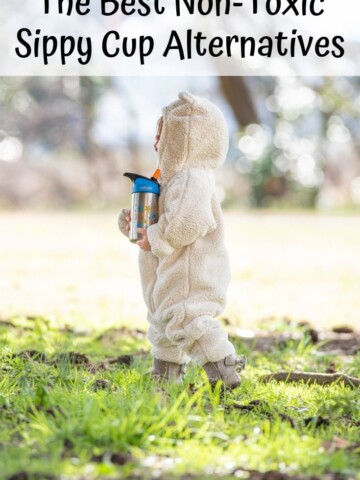 Are sippy cups safe? Discover the best non-toxic sippy cup alternatives for toddlers! Toddler cup reviews, stainless steel sippy cups on Amazon, and more!