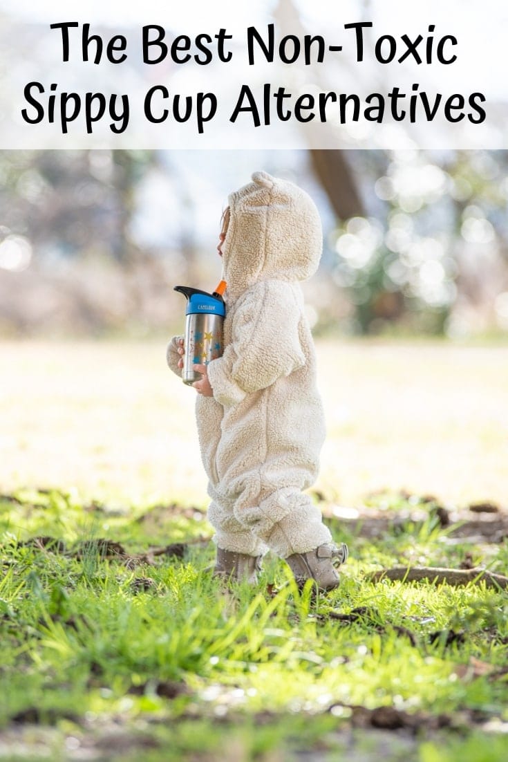 Are sippy cups safe? Discover the best non-toxic sippy cup alternatives for toddlers! Toddler cup reviews, stainless steel sippy cups on Amazon, and more!