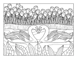 spring coloring page with swans and flowers
