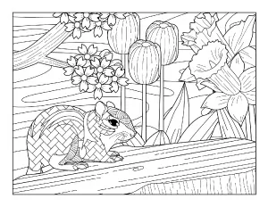 spring coloring page with flowers and squirrel