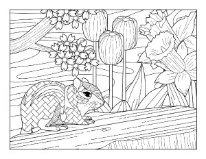 21 spring coloring pages free printable spring adult coloring pages the artisan life