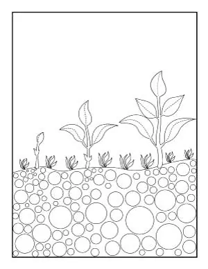 planting seeds coloring pages